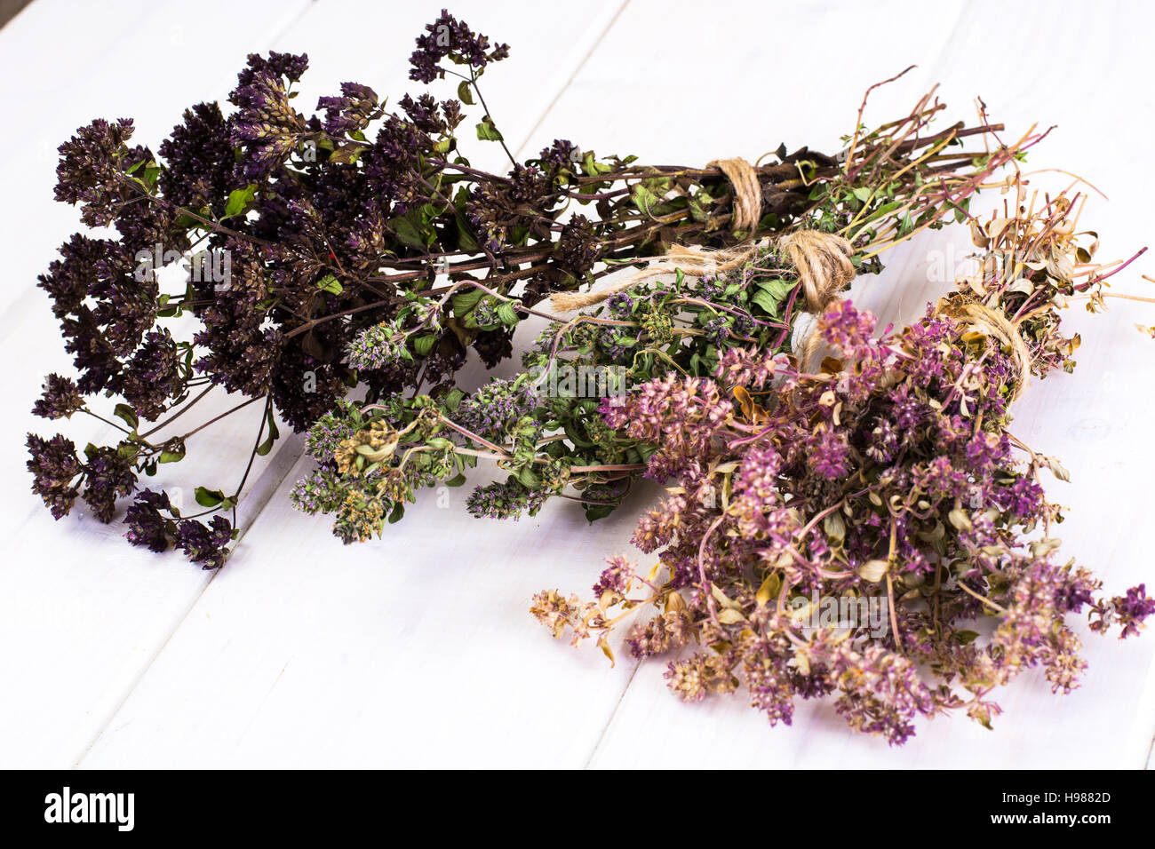 Dried Flowers and Stems of Thyme Studio Photo Stock Photo Alamy