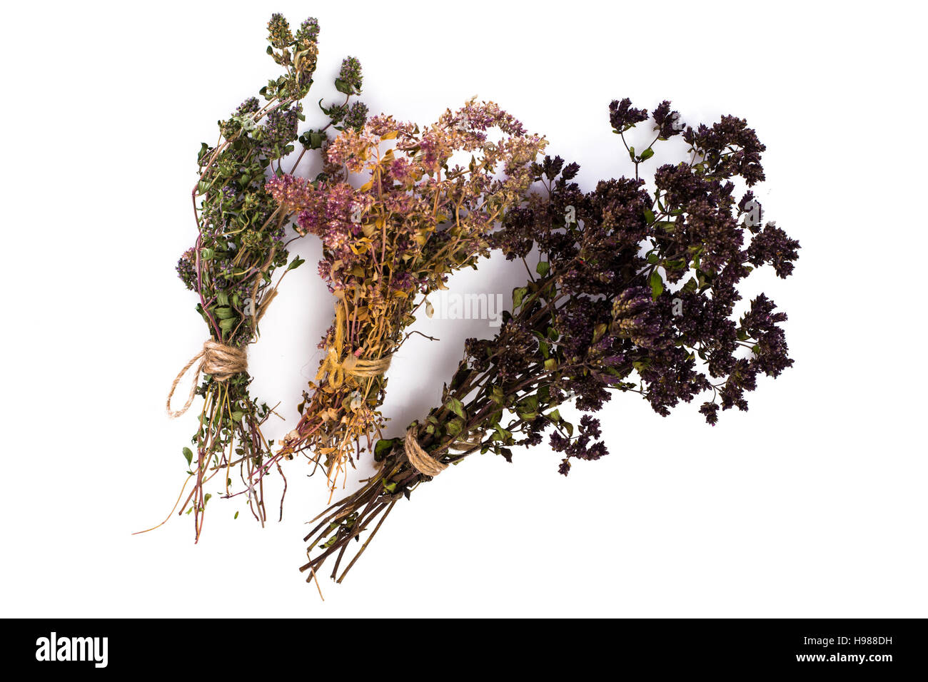 Dried Flowers and Stems of Thyme Studio Photo Stock Photo Alamy