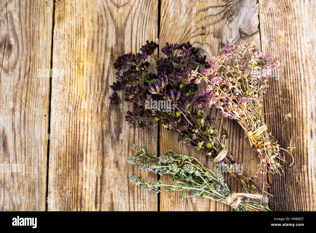 Dried Flowers and Stems of Thyme Studio Photo Stock Photo Alamy