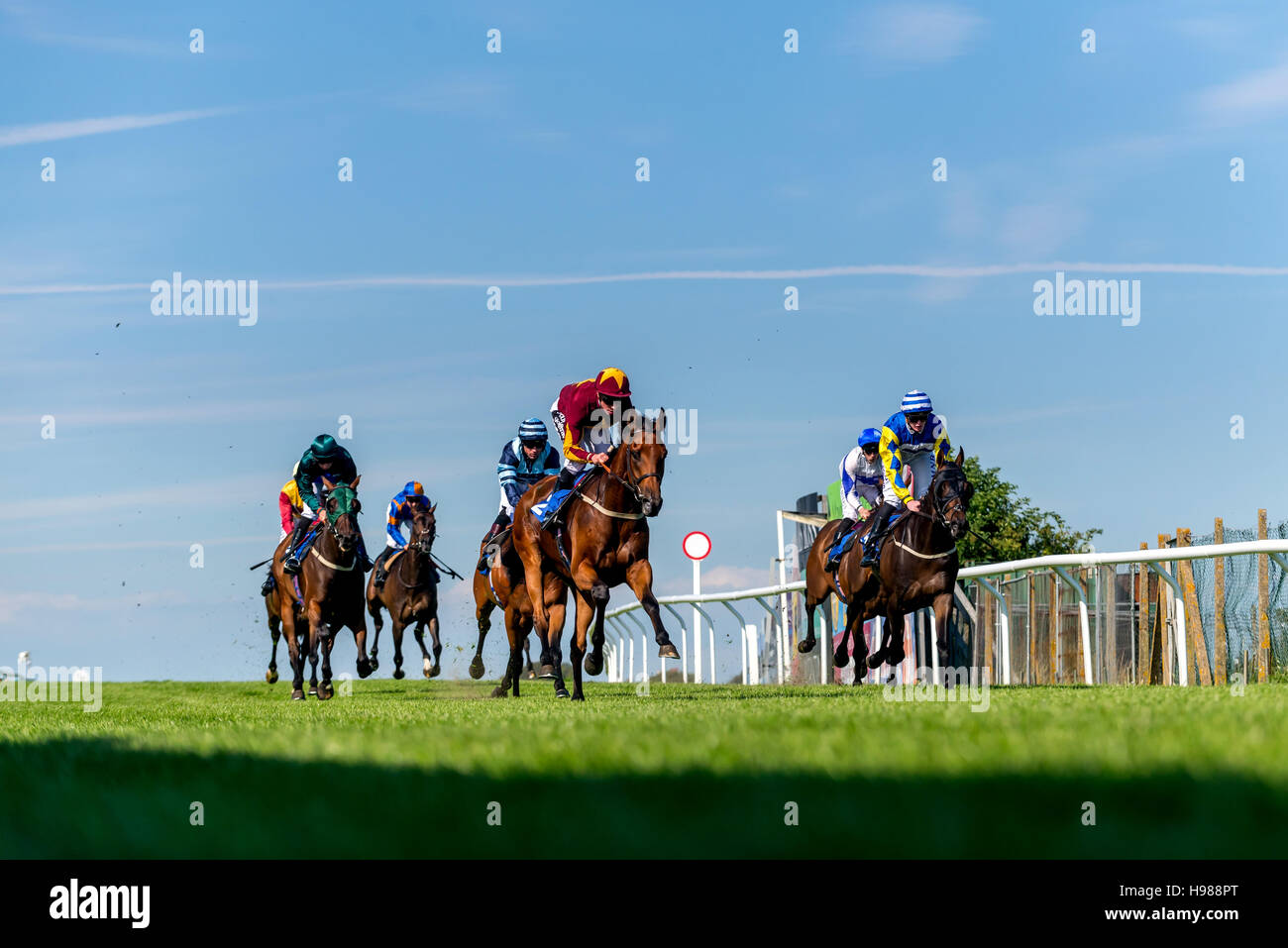 Star Asset, ridden by Jim Crowley, winning the 4.20 at Brighton this afternoon. Stock Photo