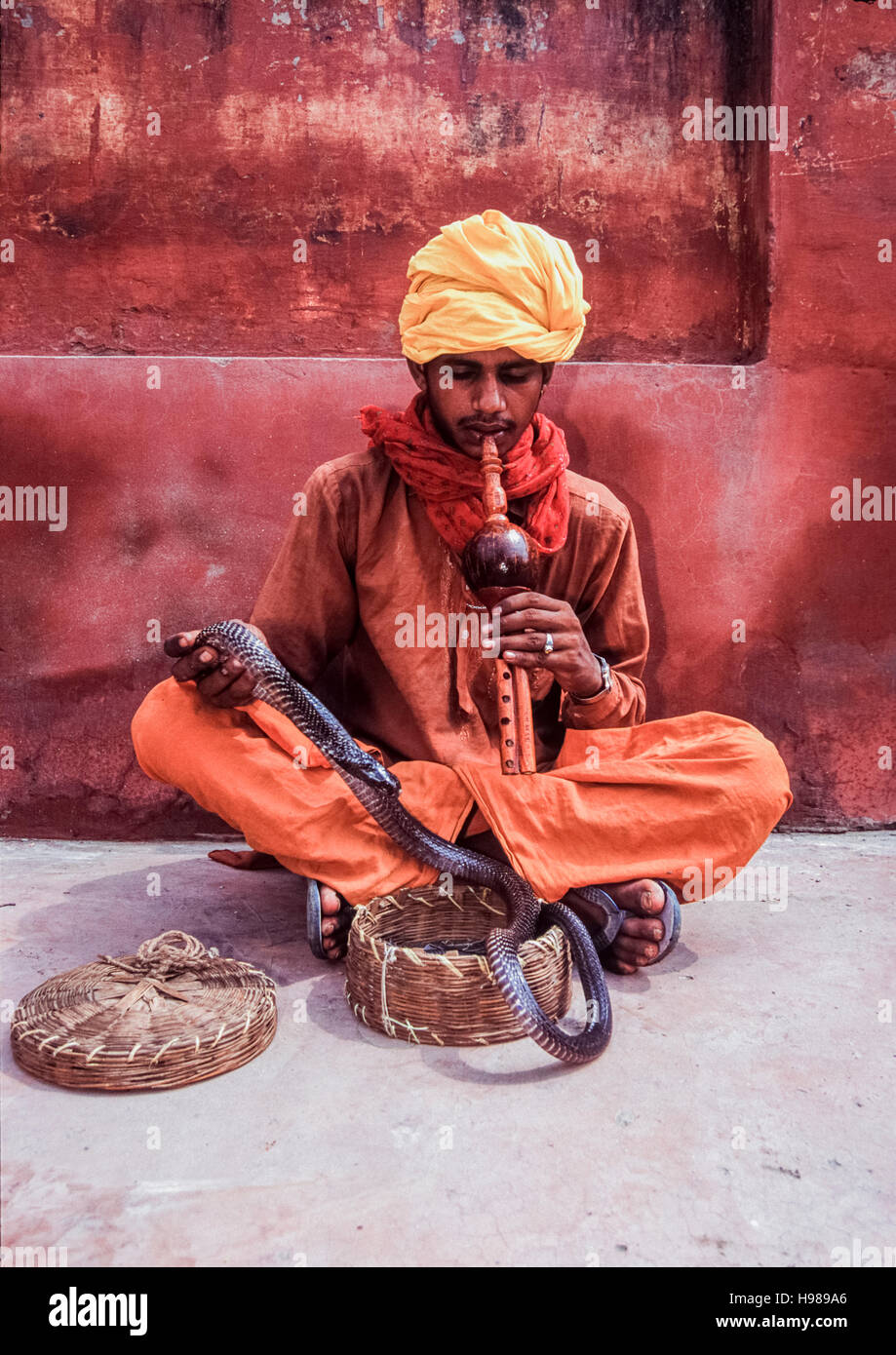 Snake charmer, with cobra (Naja naja), Rajasthan,India Stock Photo