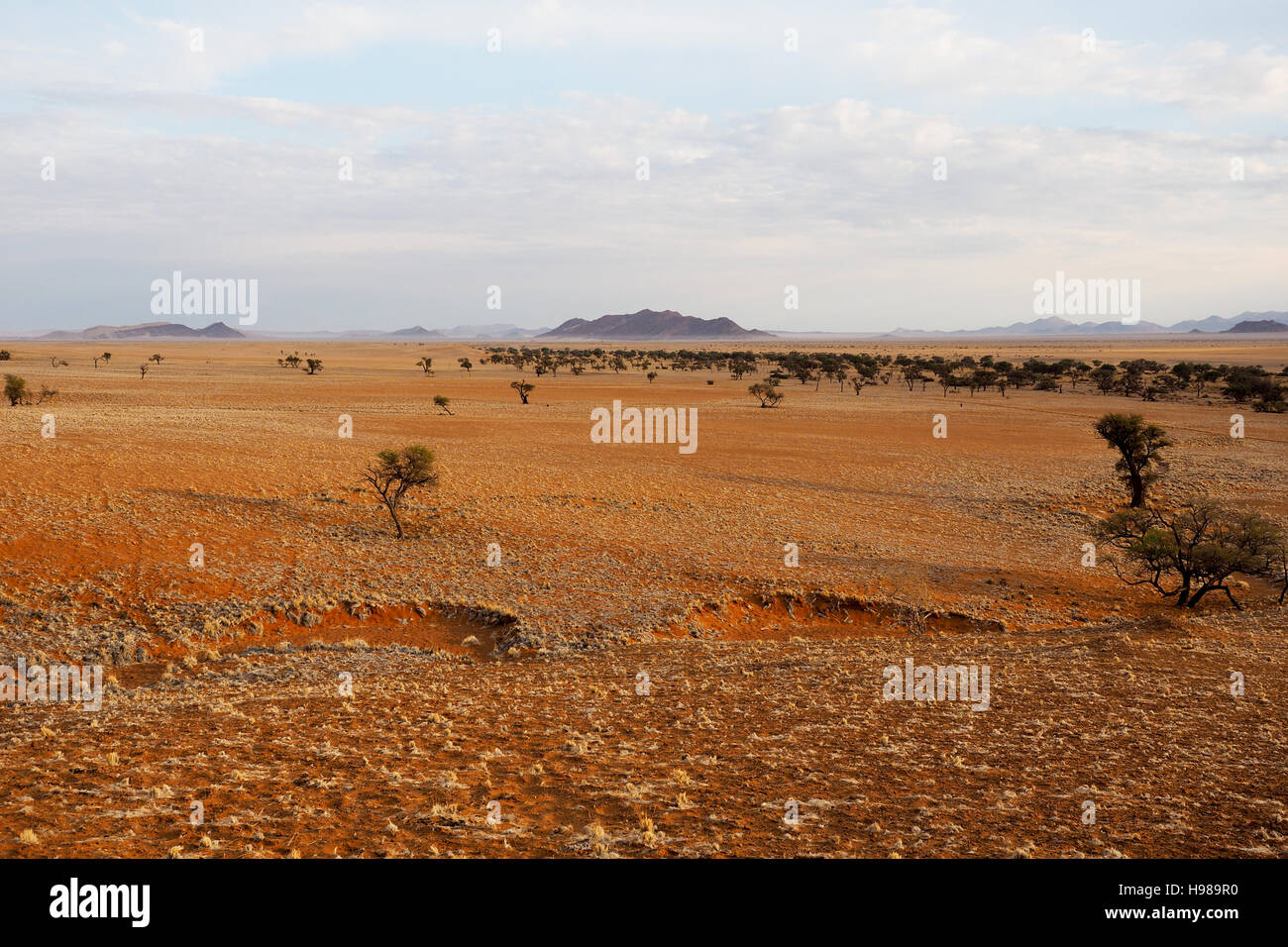 Namib desert landscape, Namibia Stock Photo