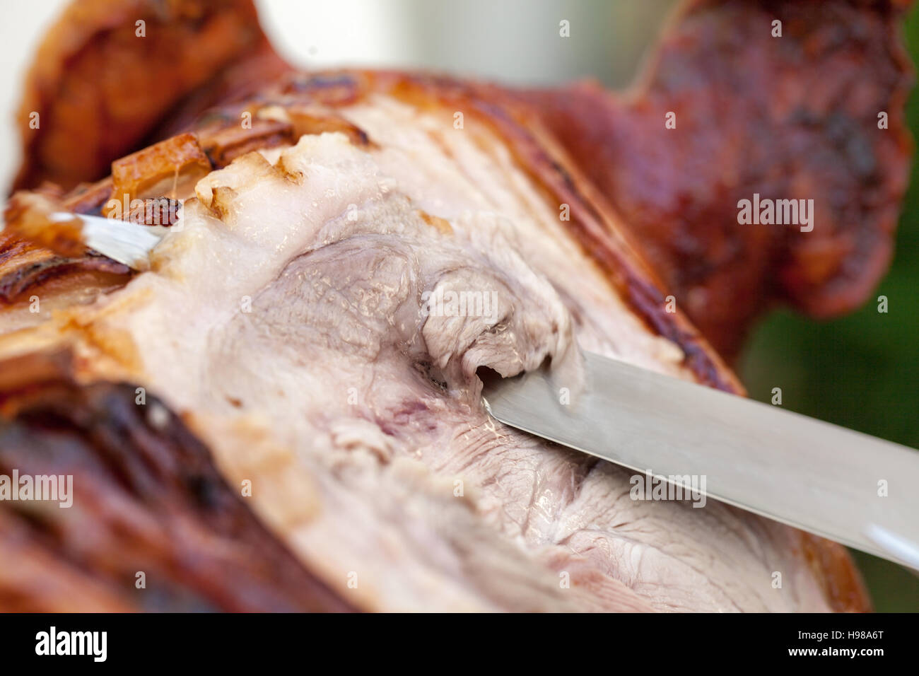 Hog Roast whole pig cooked over charcoal for a large gathering Stock