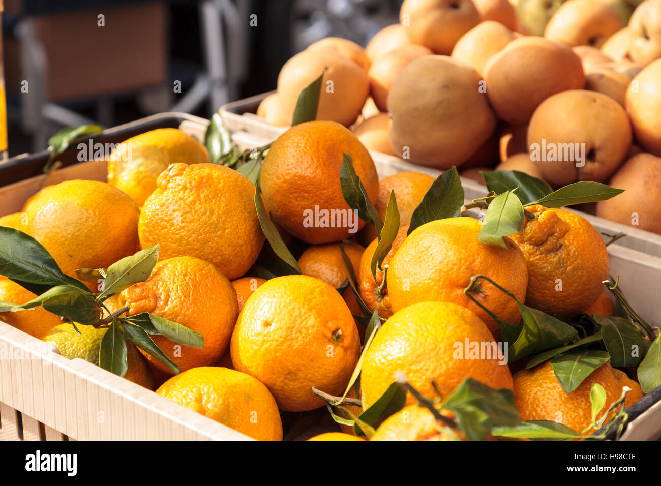 Satsuma Mandarin oranges grown on a farm and displayed at a farmers market Stock Photo Alamy