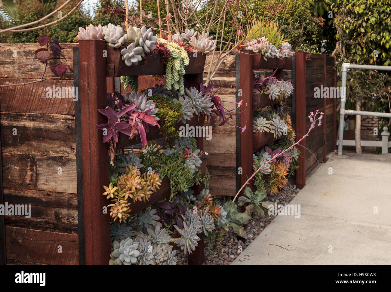 Vertical planting plants wall hi-res stock photography and images - Alamy