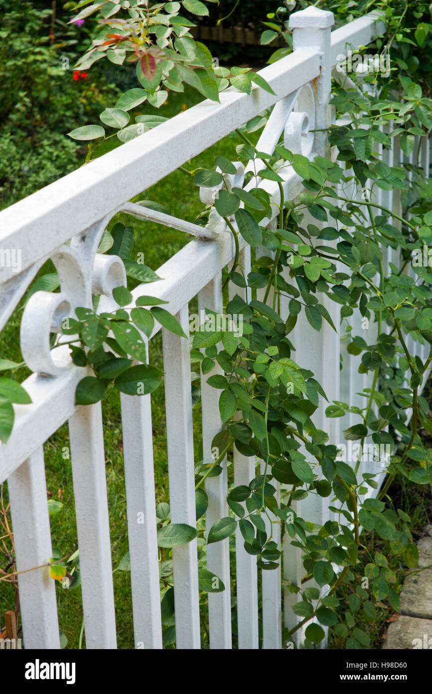 White Wrought Iron Garden Fence Stock Photo