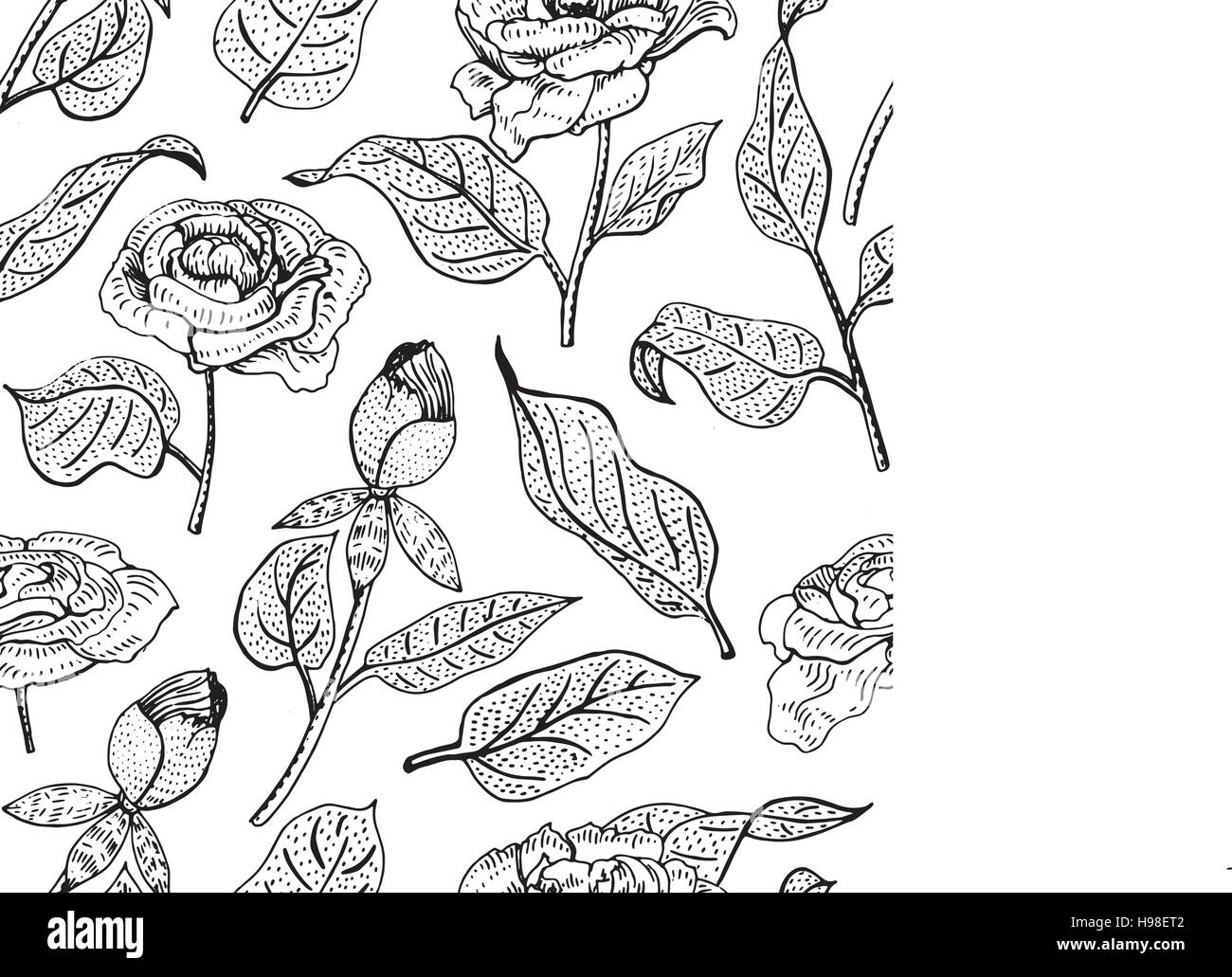 Floral seamless background. Vector pattern with beautiful peony flower. Gentle flourish background. Seamless patterns can be used in textile design, p Stock Vector