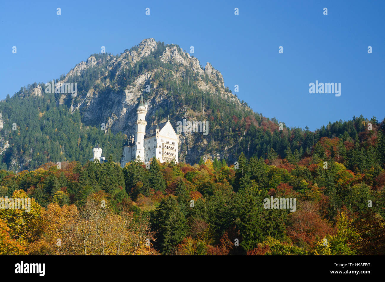 Schwangau: castle Schloss Neuschwanstein, Oberbayern, Upper Bavaria, Bayern, Bavaria, Germany Stock Photo