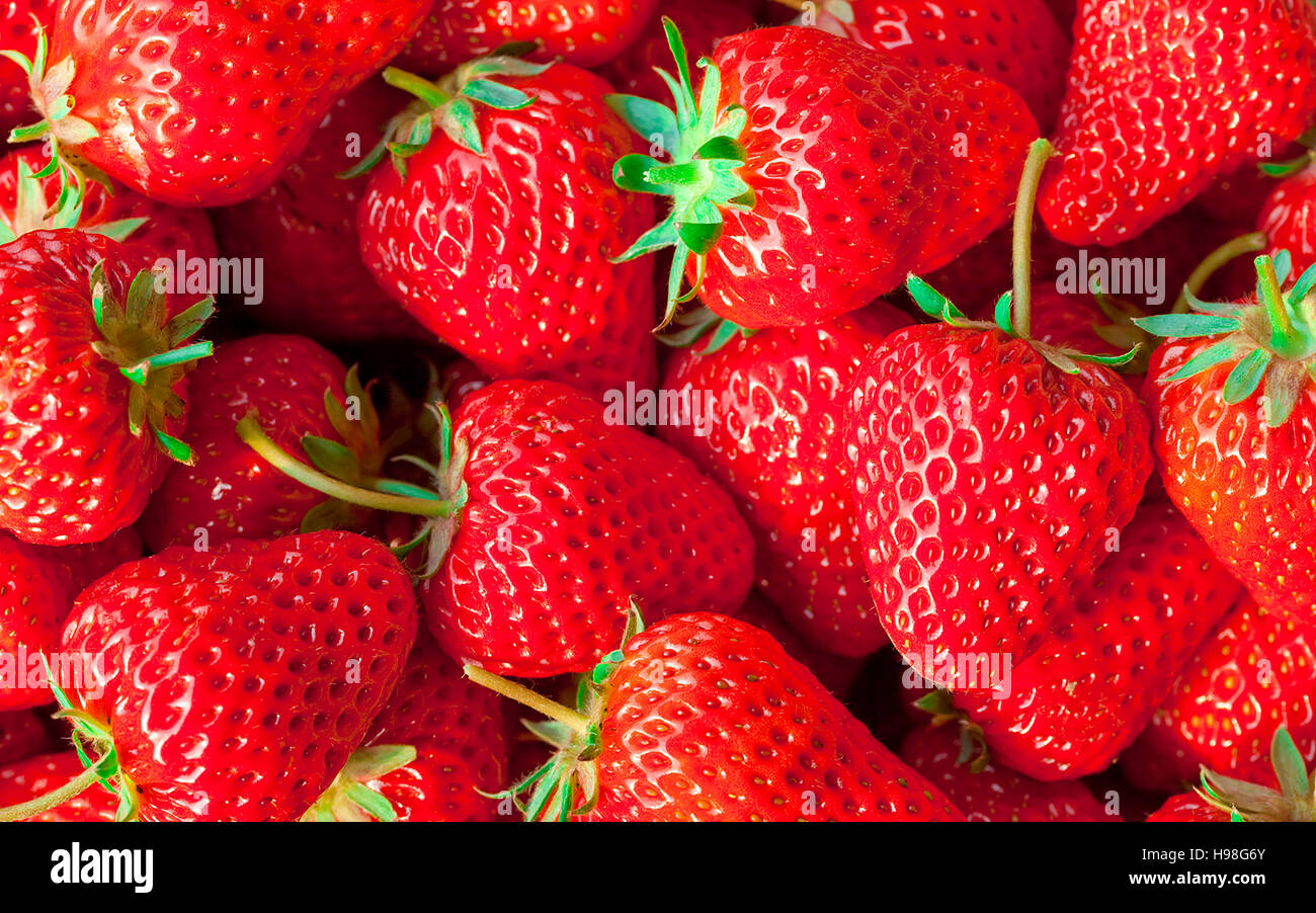 background of red big juicy ripe strawberries Stock Photo - Alamy