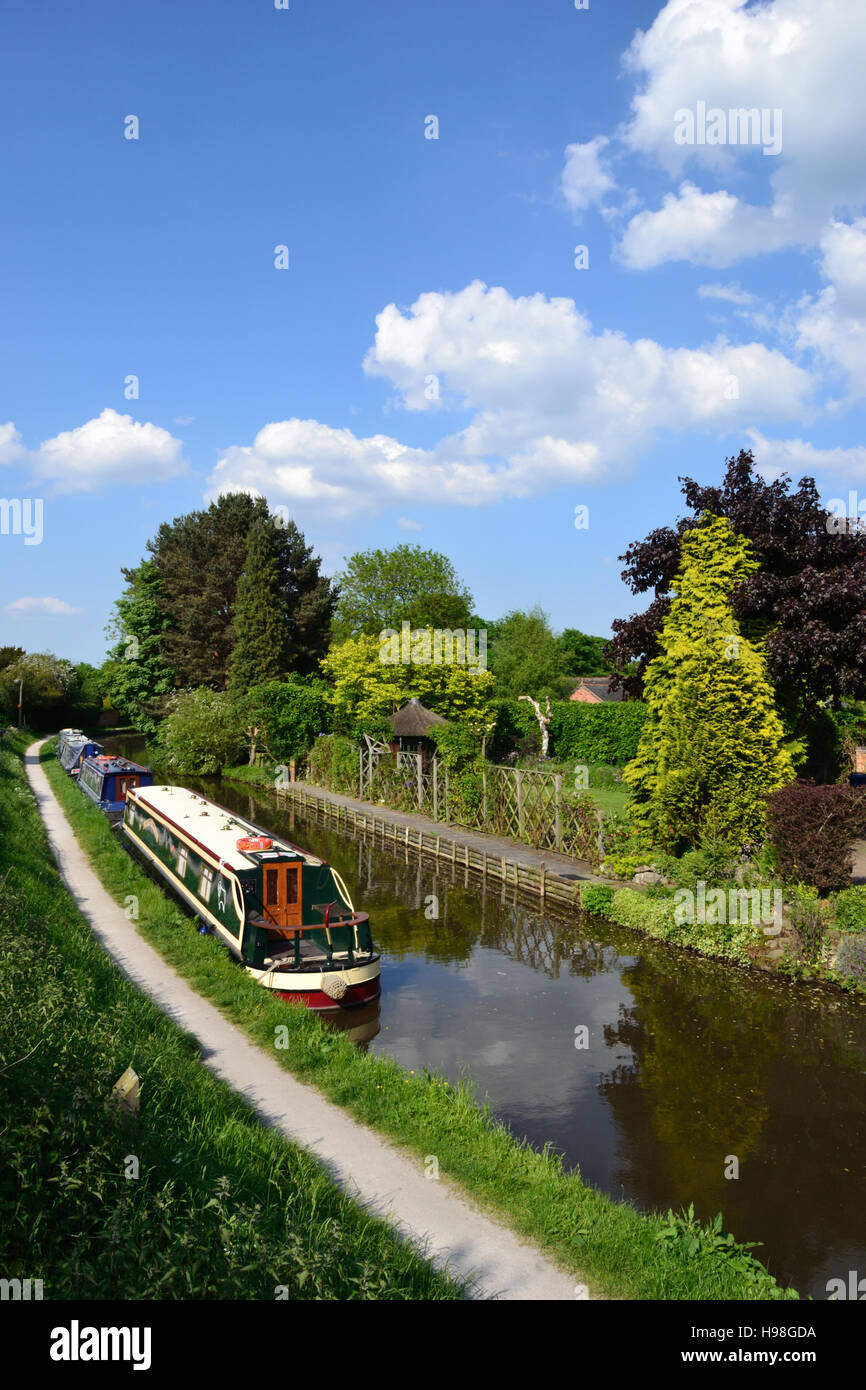 Narrowboats moored beside the towpath at Alrewas on the Trent & Mersey Canal Stock Photo