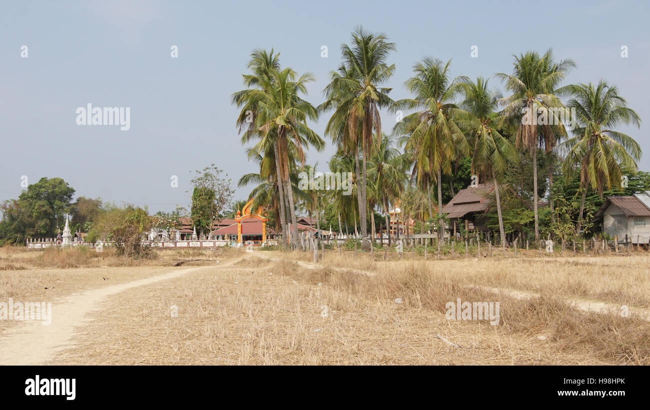Temple with palm trees un Don Khone Island, Laos Asia Stock Photo