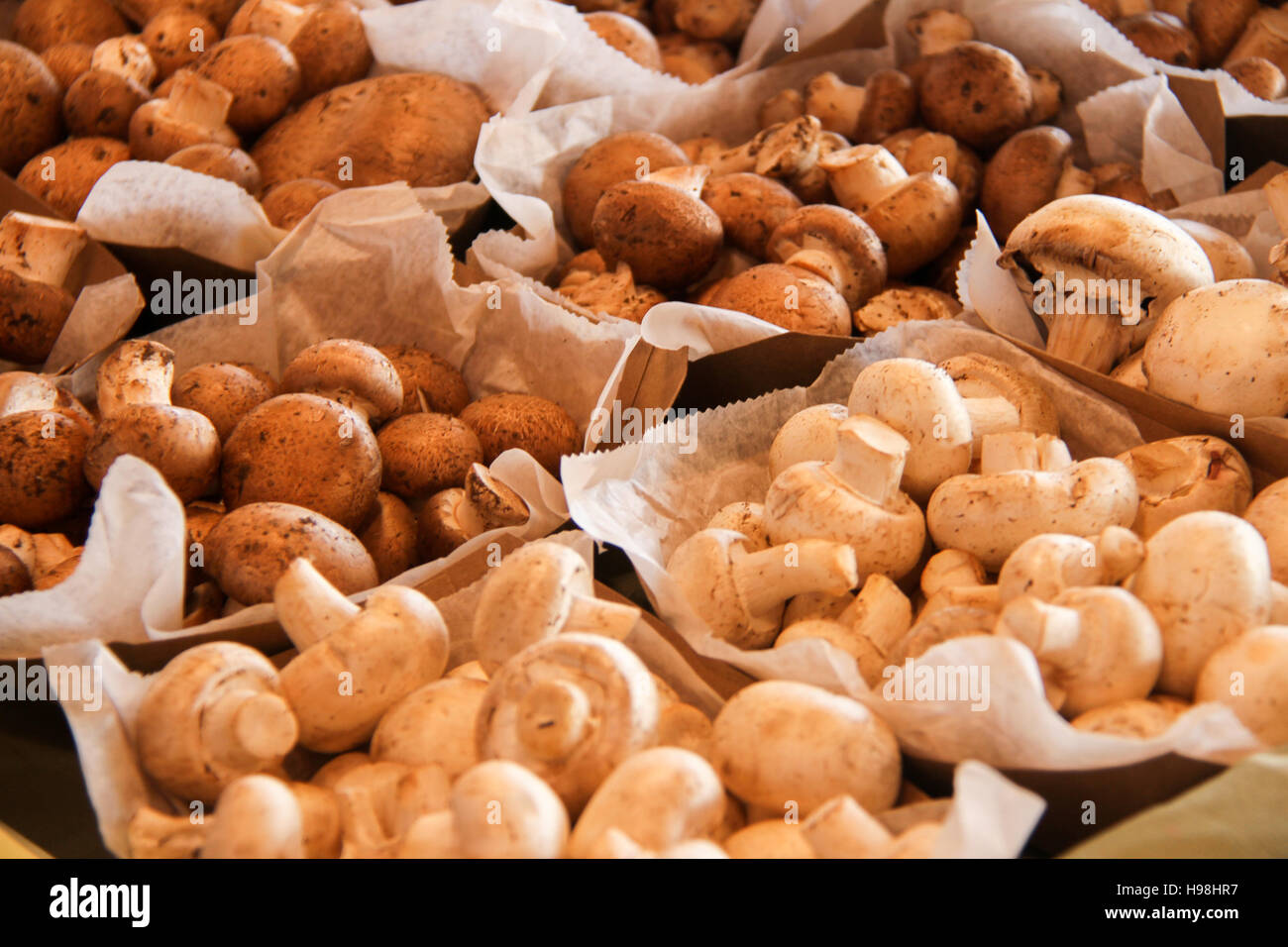 Mushrooms at the Eastern Market in Michigan Stock Photo Alamy