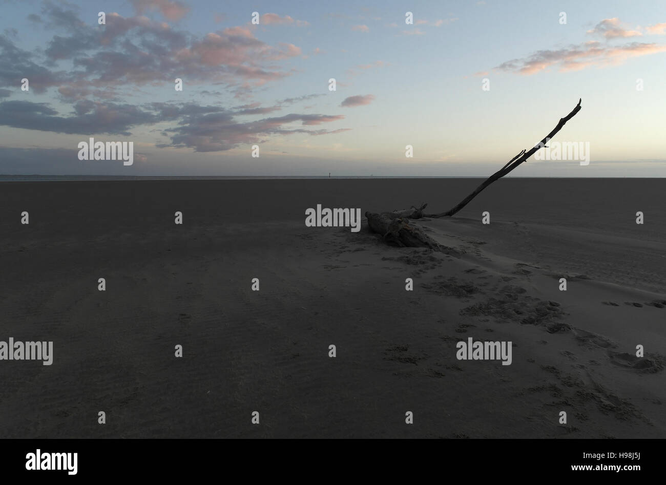 Blue sky twilight view, south to River Ribble, wind-blown sand around ...