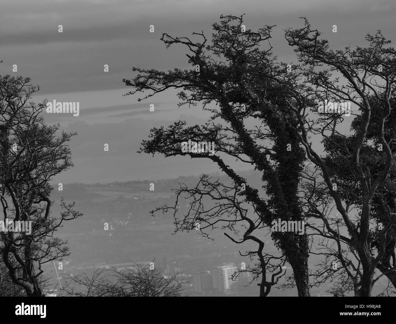 Black mountain belfast Black and White Stock Photos & Images Alamy