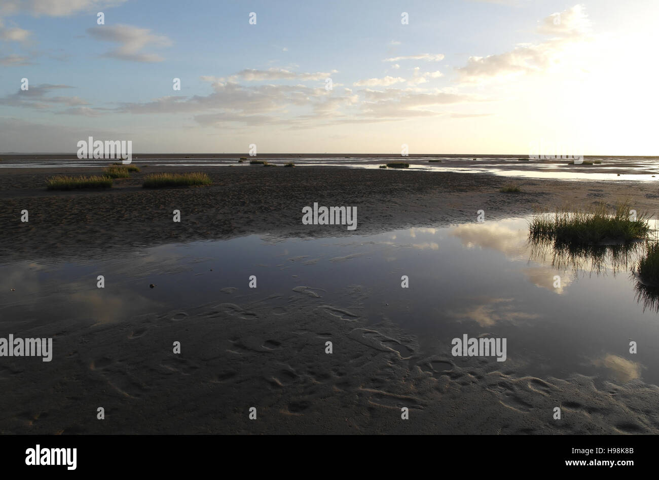 Evening sunshine view wet muddy sand beach with cloud reflection pools and Spartina grass clumps, Fairhaven Outer Promenade, Lytham, Lancashire, UK Stock Photo