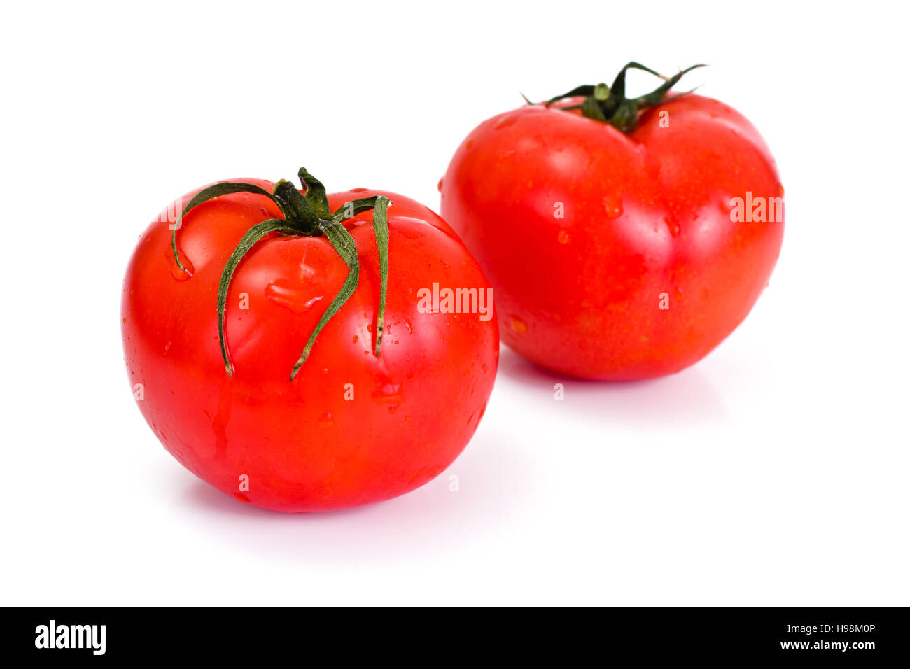 Red Tomatoes Isolated on a White Background Studio Photo Stock Photo ...