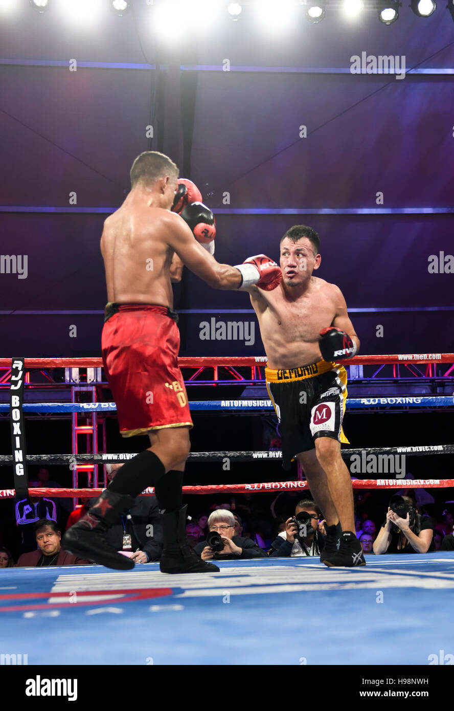 Las Vegas, Nevada, USA. 18th November, 2016.  Daniel 'El Duro' Rosario battles Norberto 'Demonio' Gonzolez in a Junior Middleweight bout at the “Knockout Night at the D”  presented by the 'D' Las Vegas and DLVEC and promoted by Roy Jones Jr. Credit:  Ken Howard/Alamy Live News Stock Photo