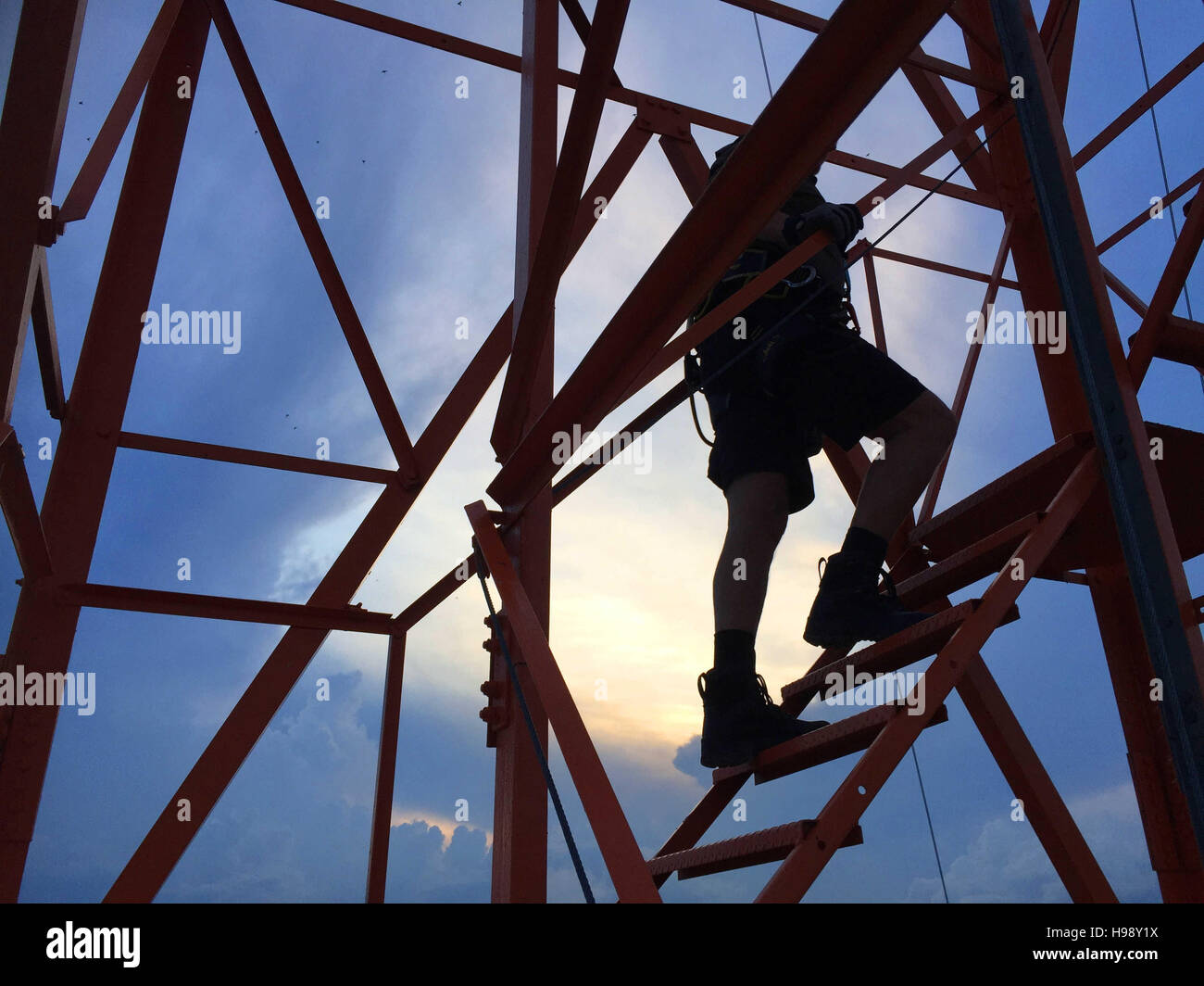 Manaus, Brazil. 7th Nov, 2016. An employee of the Max-Planck-Institut Mainz walks up the ATTO tower at the ATTO research center in the rain forest in Manaus, Brazil, 7 November 2016. PHOTO: GEORG ISMAR/dpa/Alamy Live News Stock Photo