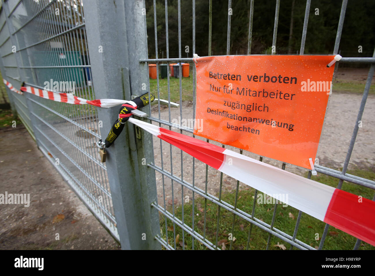Dithmarschen, Germany. 20th Nov, 2016. A locked and secured gate with a sign reading 'Betreten verboten - Nur fuer Mitarbeiter zugaenglich - Desinfektionsanweisung beachten' (lit. 'No admittance - Access only for employees - Beware the disinfection instruction') can be seen at a poultry farm in Dithmarschen, Germany, 20 November 2016. The bird flu virus was detected at two farms of the poultry company. A total of 8,800 geese is now prepared to be killed. PHOTO: BODO MARKS/dpa/Alamy Live News Stock Photo