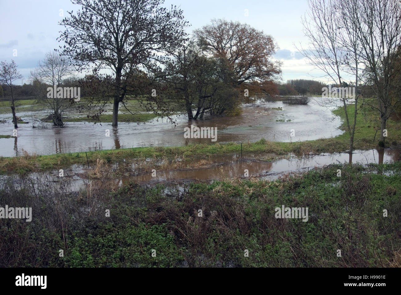 River culm winter devon hires stock photography and images Alamy