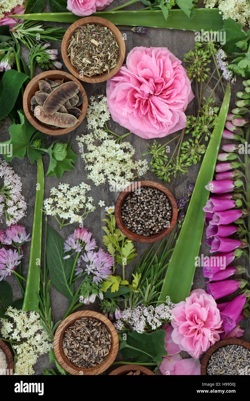 Herbal medicine selection of fresh and dried herbs and flowers used in