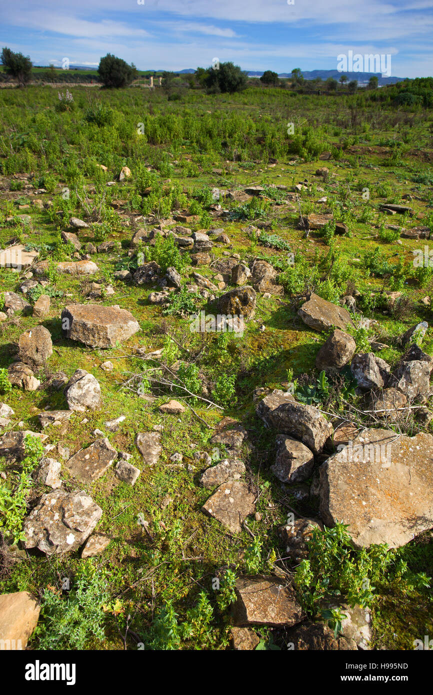 Scornavacche greek archaeological site. Chiaramonte Gulfi, Ragusa