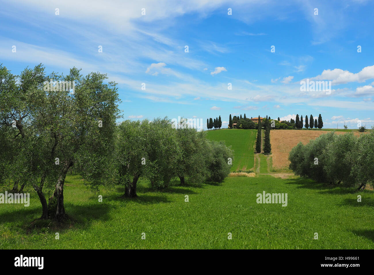 Tuscany farmhouse, Italy Stock Photo - Alamy