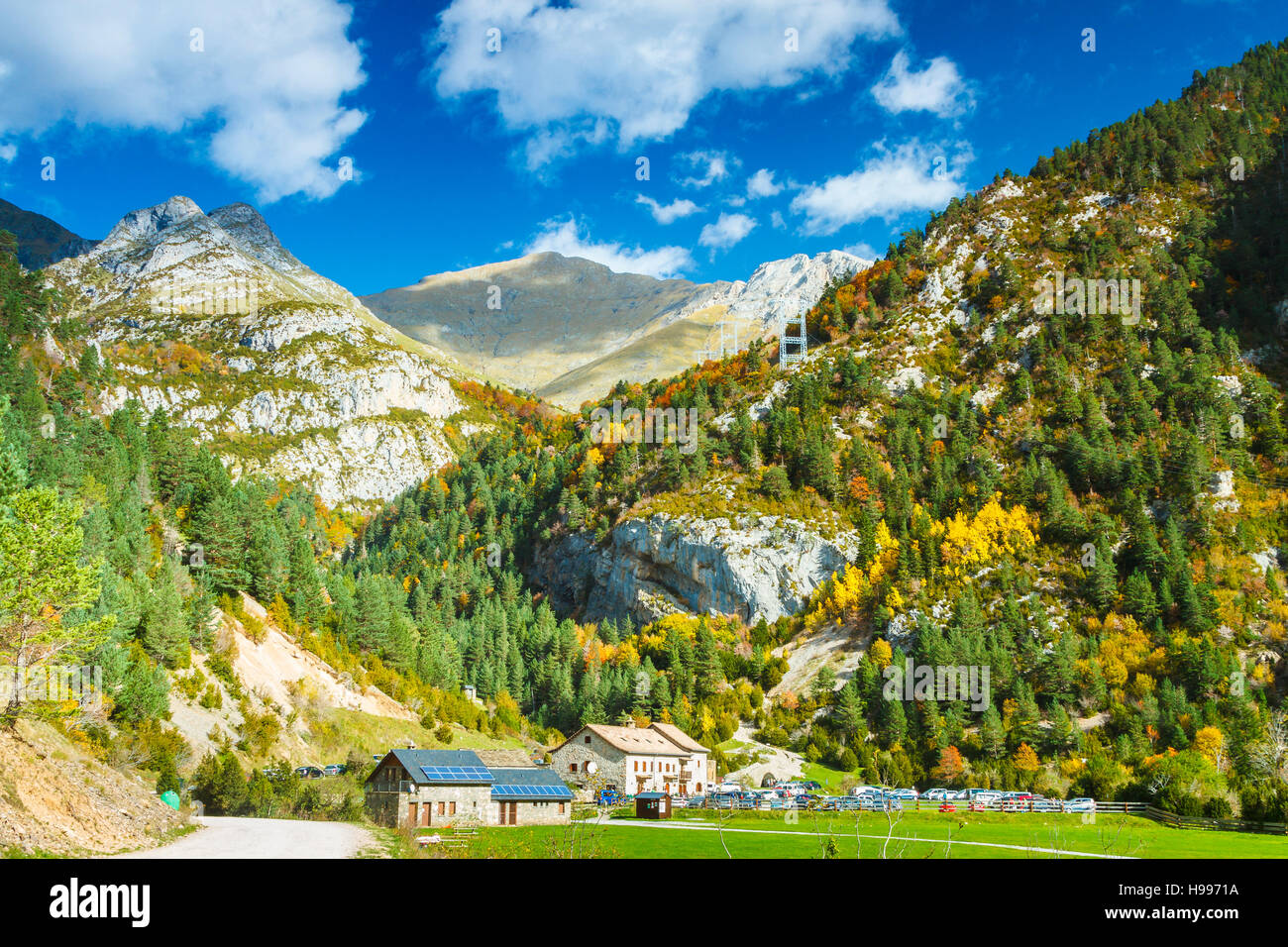 Forest mountain landscapes hi-res stock photography and images - Alamy