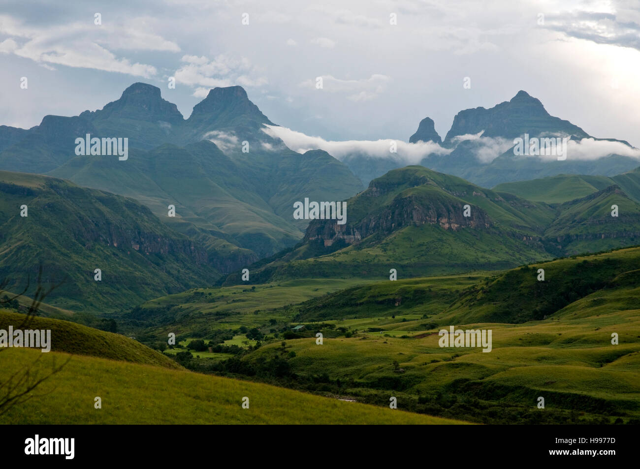 Cathedral peak mountain range in the Drakensberg Kwazulu natal South ...