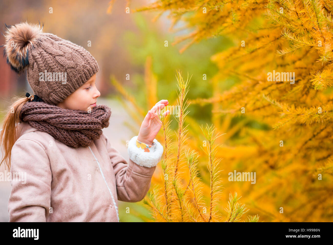 Portrait of beautiful girl background yellow leaf in fall Stock Photo ...