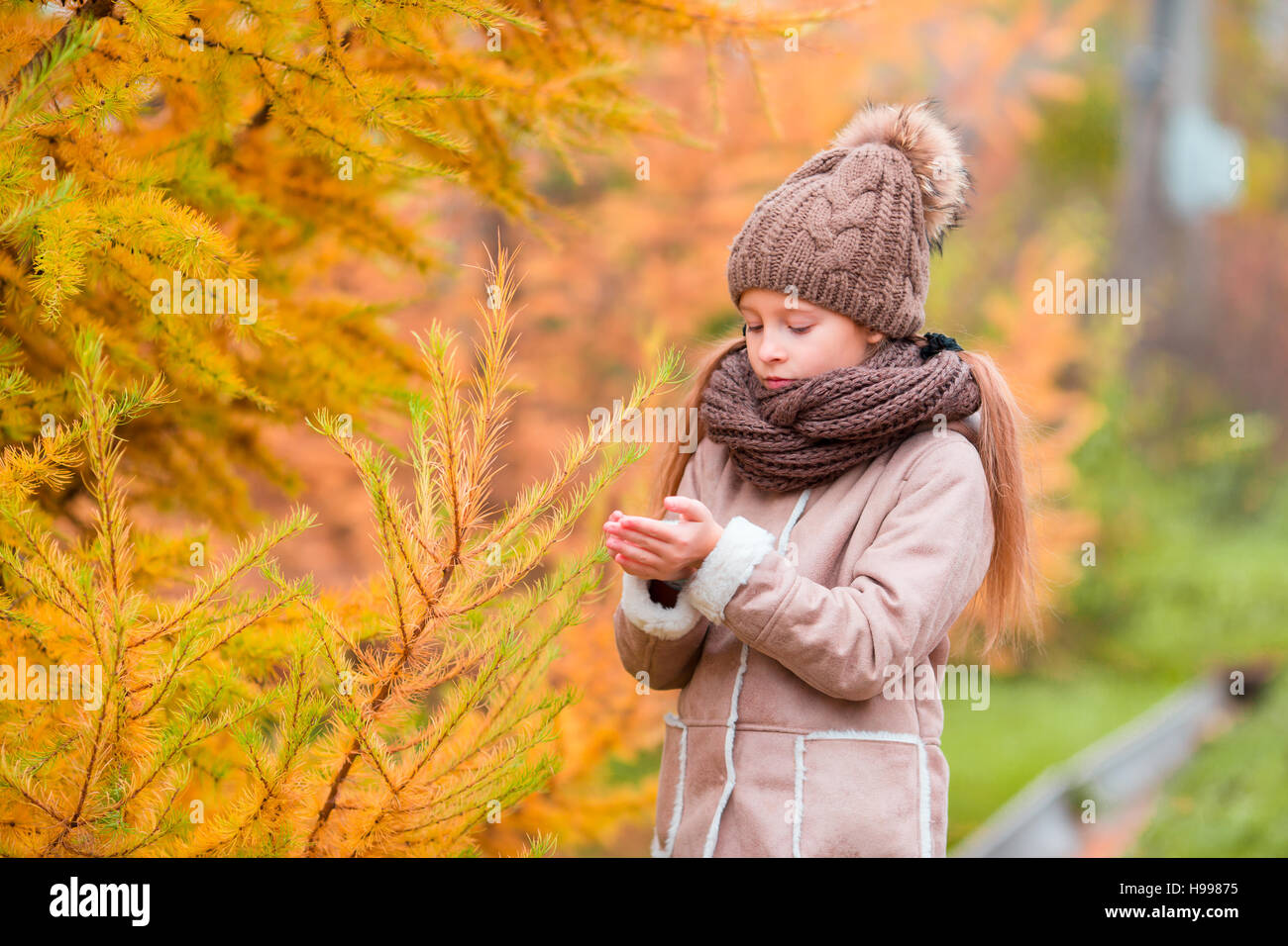 Portrait of beautiful girl background yellow leaf in fall Stock Photo ...