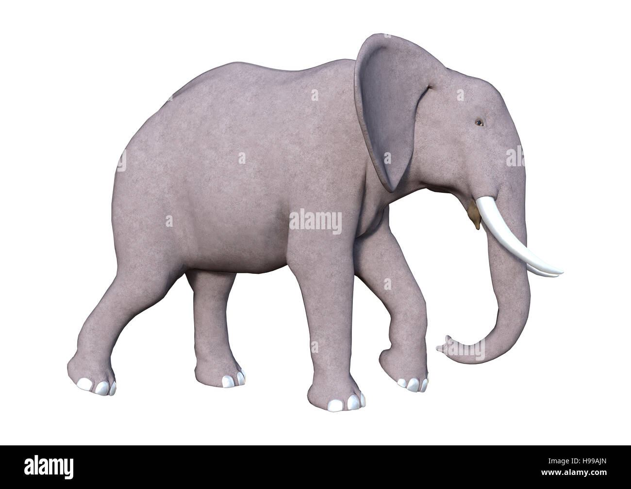 3D rendering of an elephant isolated on white background Stock Photo ...