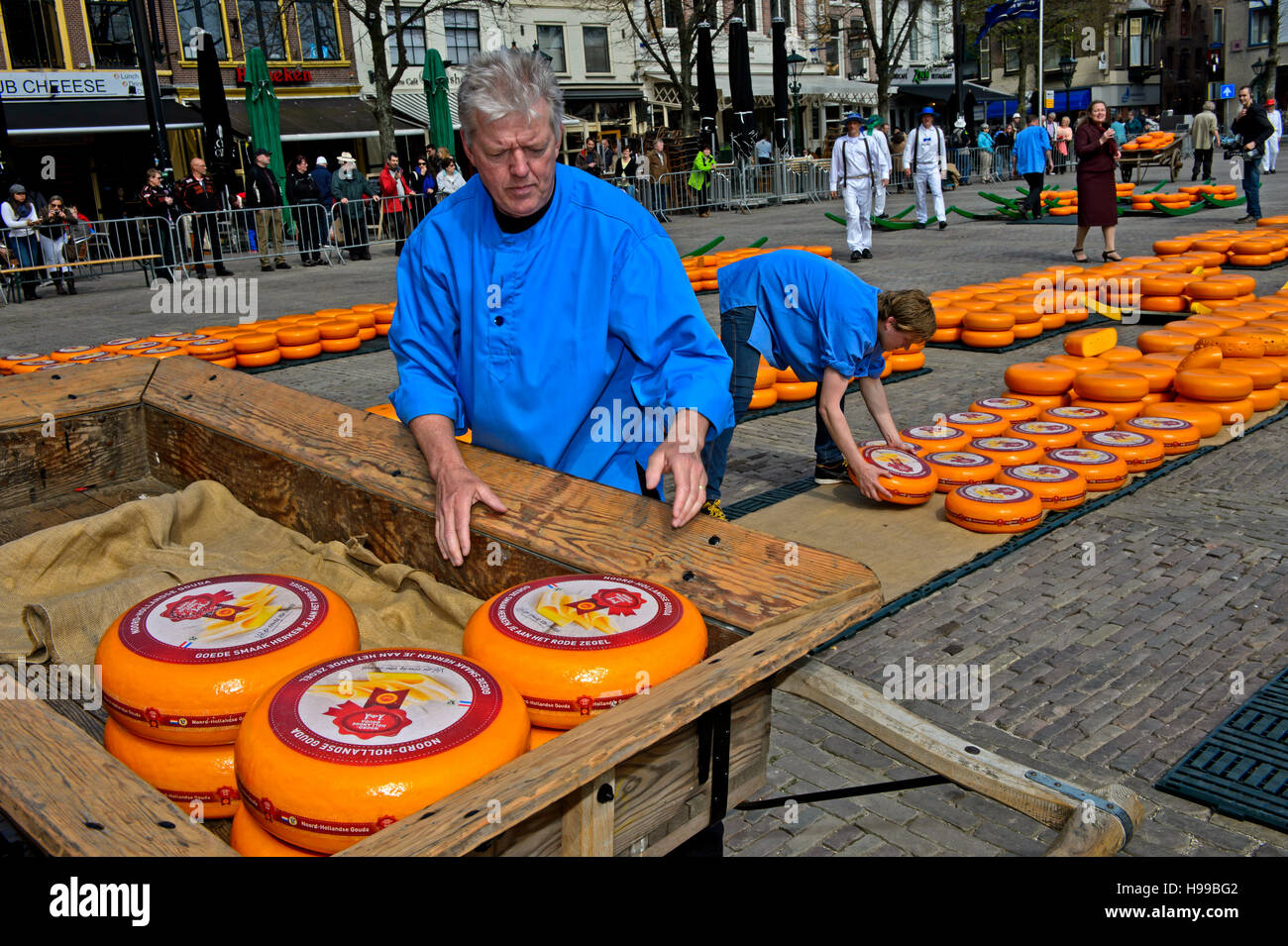 Preparation of cheese truckles for presentation on the market square, cheese market of Alkmaar, Netherlands Stock Photo