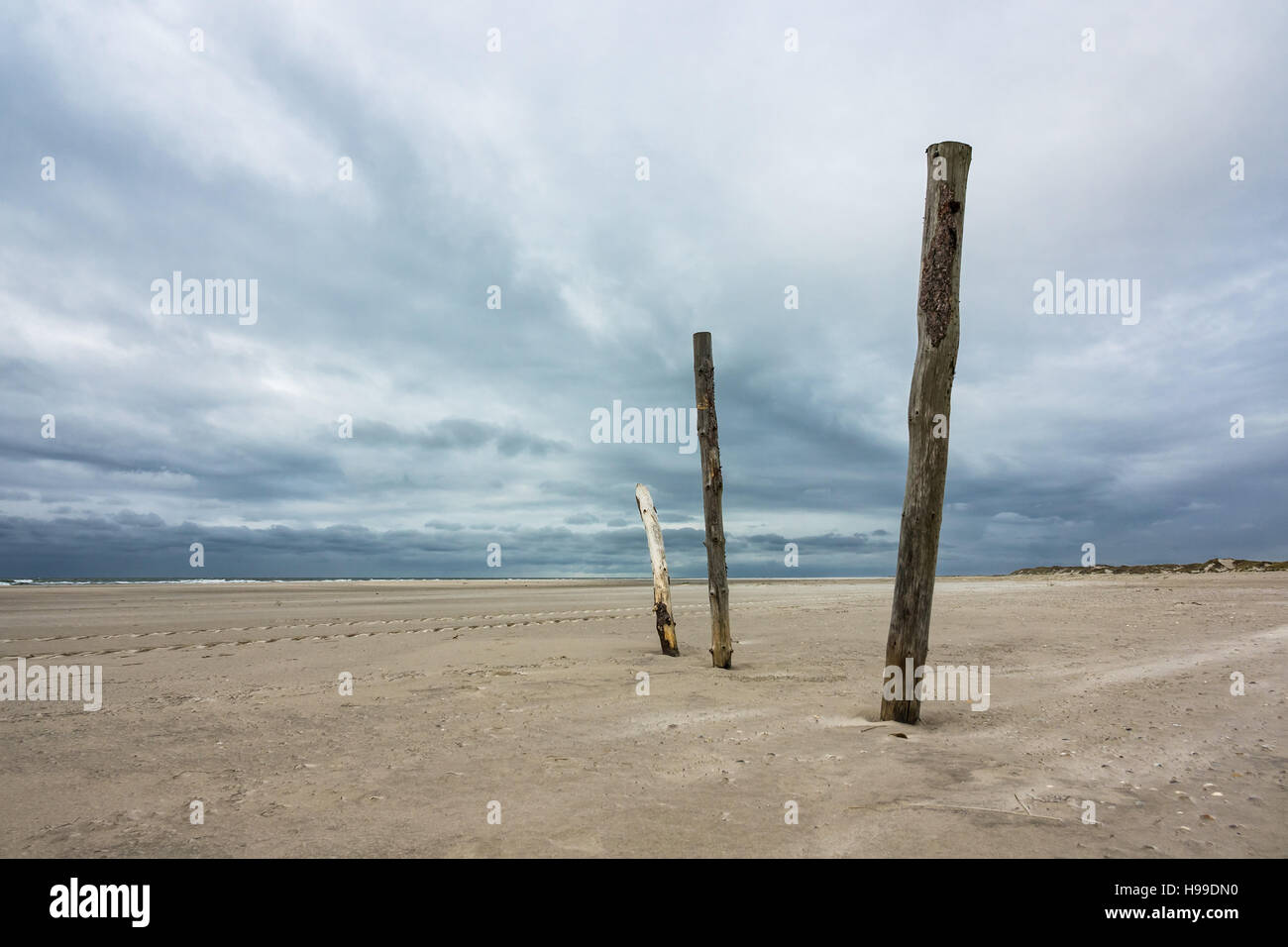 Poles on the North Sea coast on the island Amrum, Germany Stock Photo