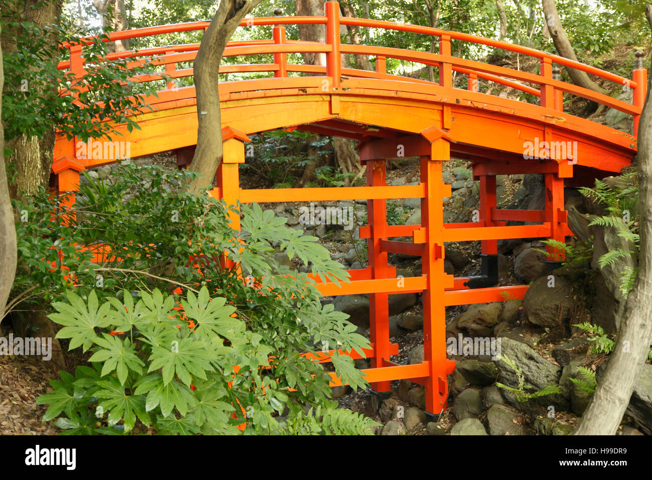 Japan, Tokyo, Koshikawa Korakuen Garden, bridge, Stock Photo