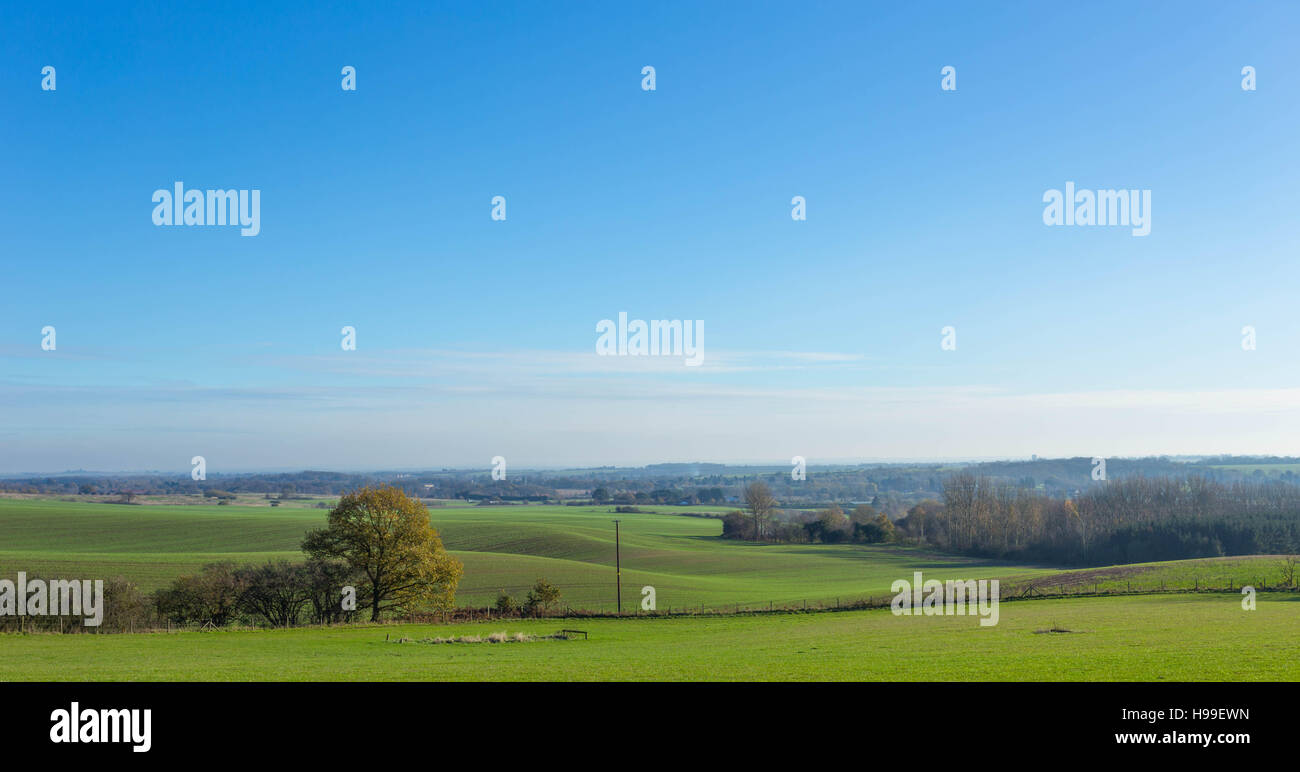 Picture of rolling hills in england with bright blue sky. There are some trees, and sheep in the distance. Stock Photo