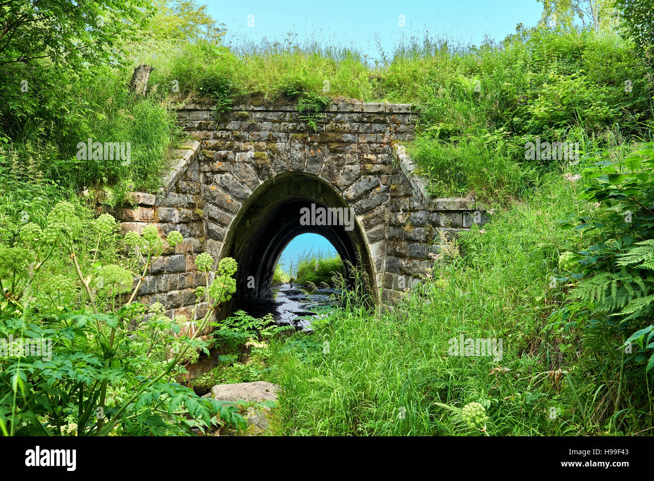 Old railway bridge arch. Circum-Baikal Railway. Irkutsk region. Russia Stock Photo