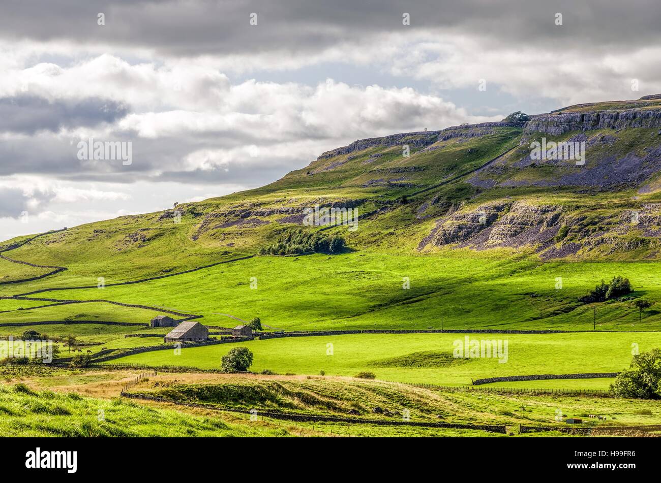Green hillside of Yorkshire Dales, Ingleton, England Stock Photo