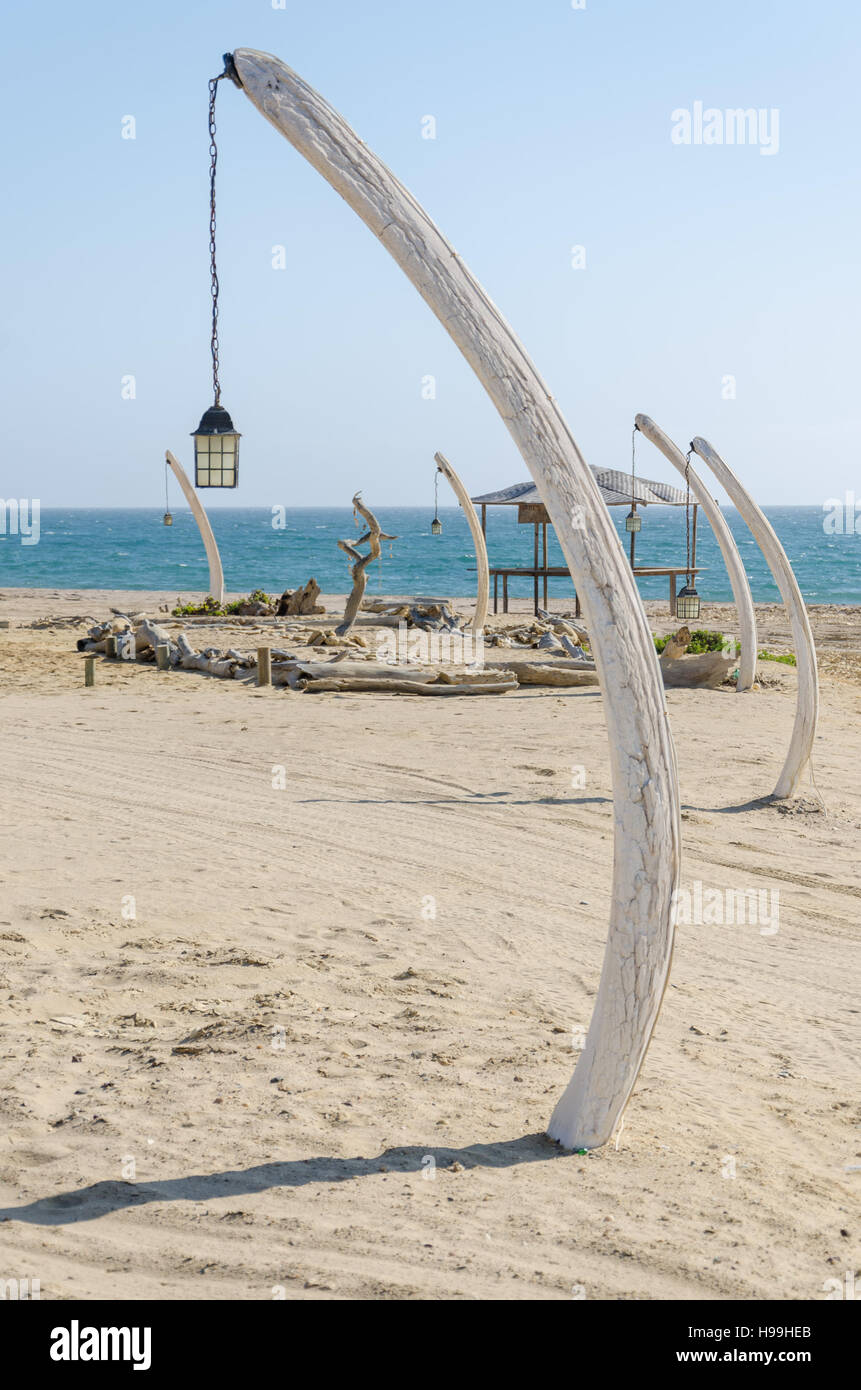 Row of lanterns hanging of whale bones stuck into sand at beach in Angola with ocean in background. Stock Photo