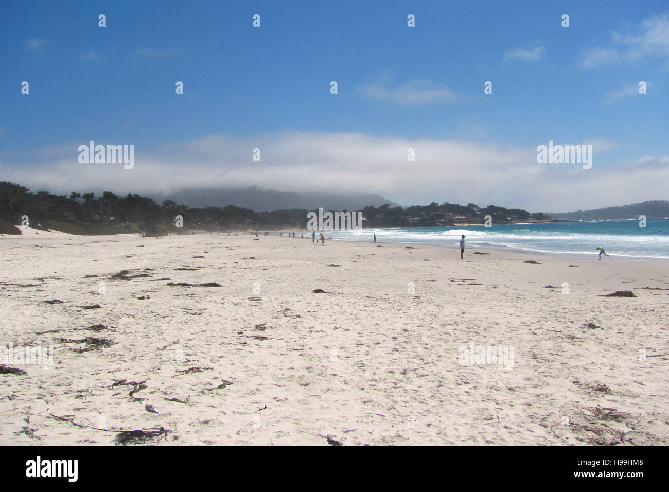 Carmel Beach in CarmelbytheSea, California, USA Stock Photo Alamy
