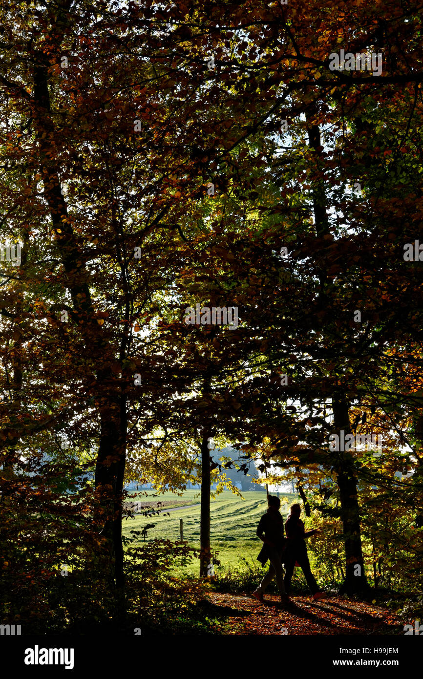 People walking on pathway in Autumn, Chiemgau, Upper Bavaria, Germany, Europe. Stock Photo