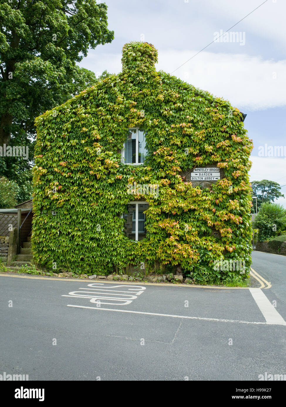 Ivy covered cottage UK Stock Photo