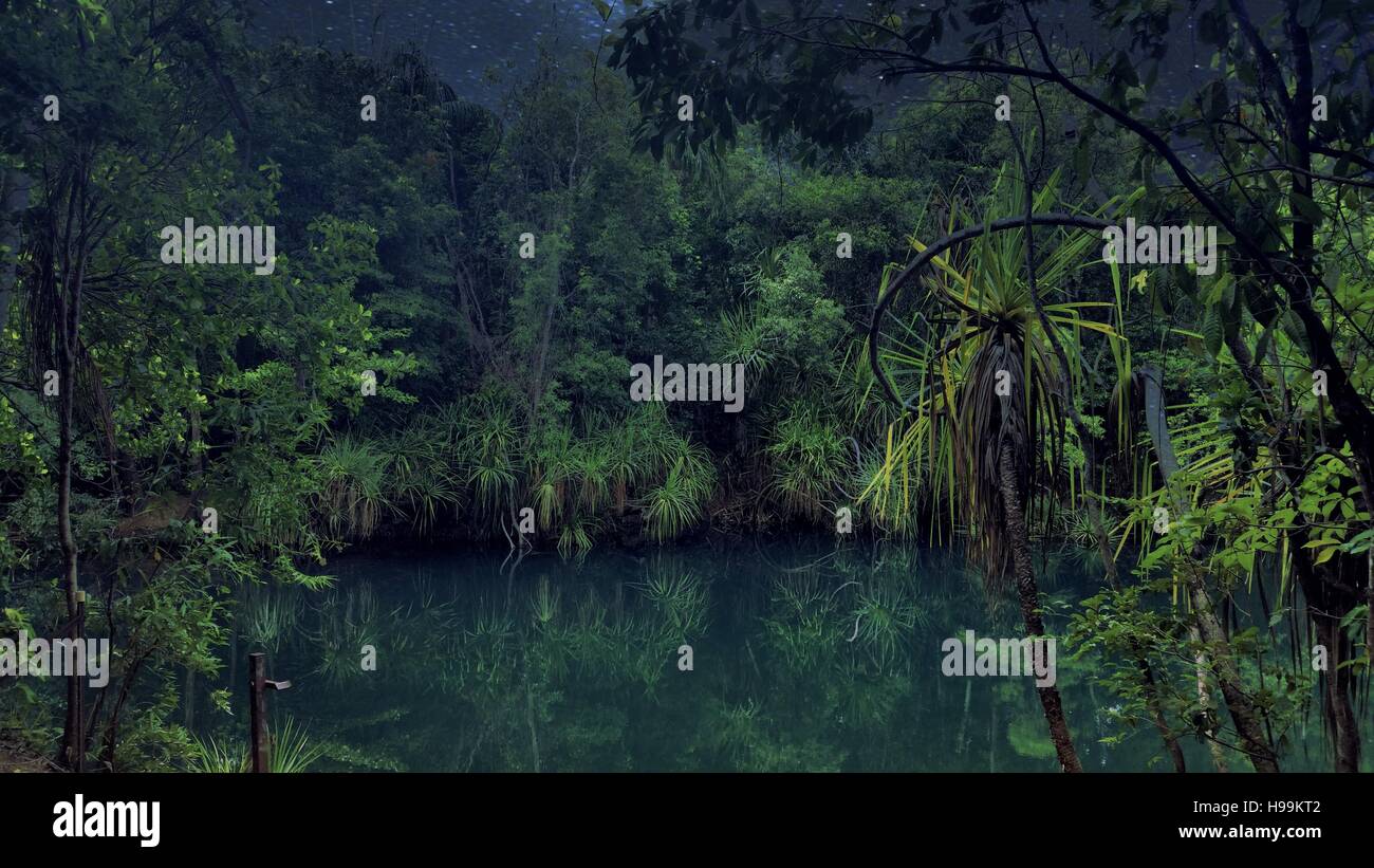 Jungle Leaves High Resolution Stock Photography and Images Alamy