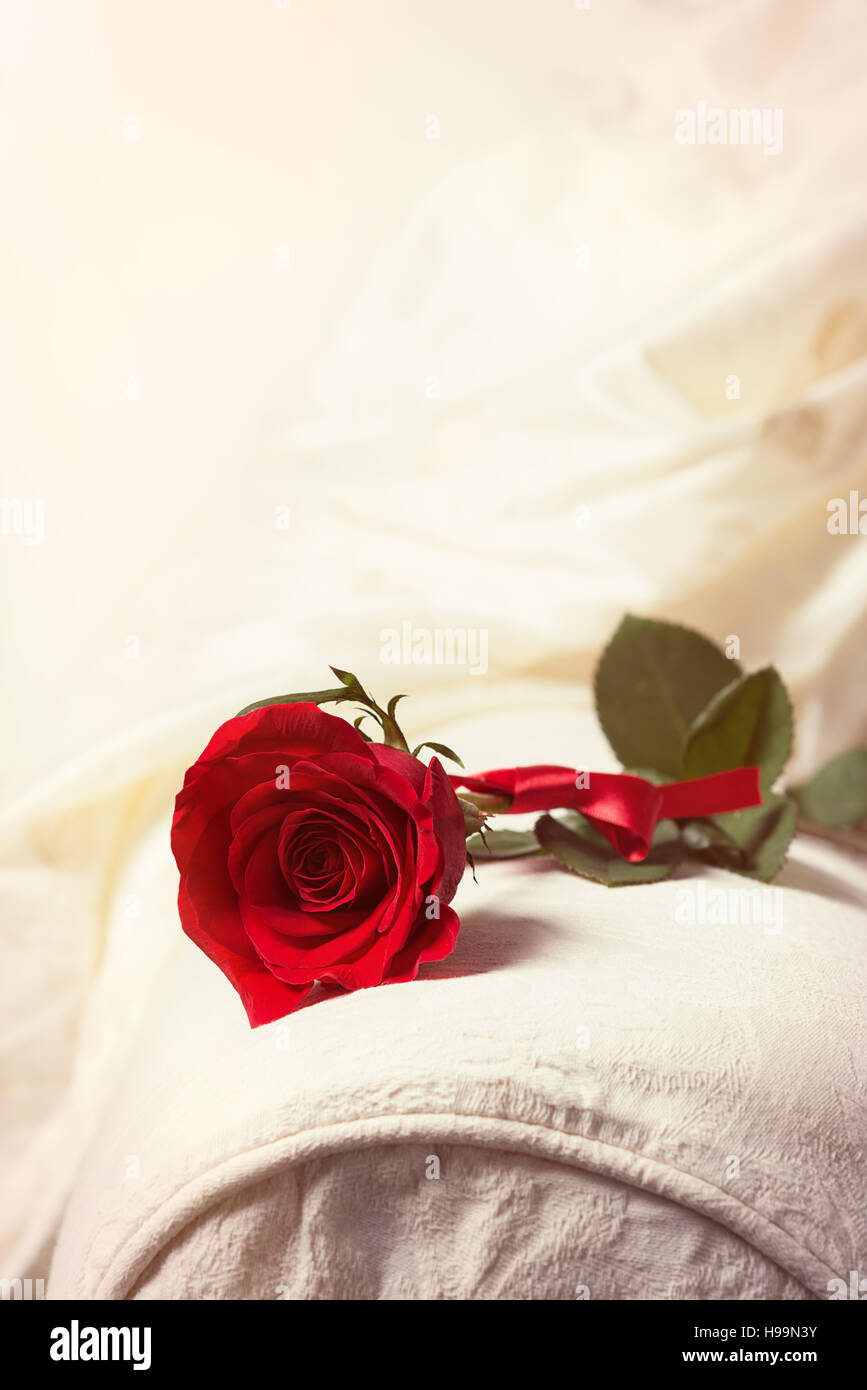 Single red rose for Valentine's Day Stock Photo