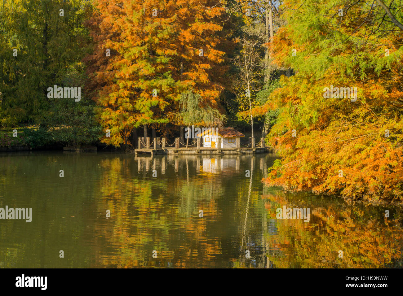 a view of a cottage by the pond in Atatürk Arboretum in istanbul, Turkey Stock Photo