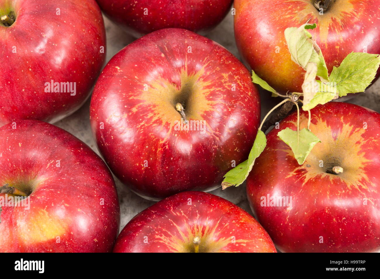 Freshly picked red apples on a plate close up Stock Photo