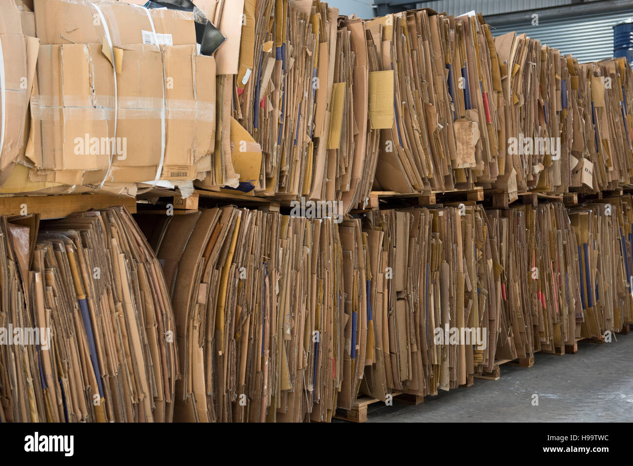 Cardboard manufacturer deals