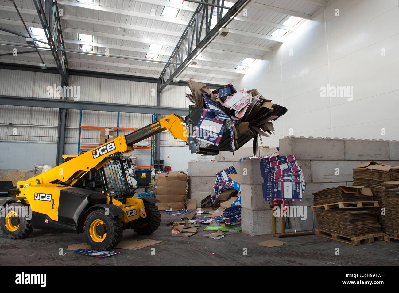 Piles of cardboard are processed for recycling in a cardboard recycling factory in South Wales, UK. Stock Photo