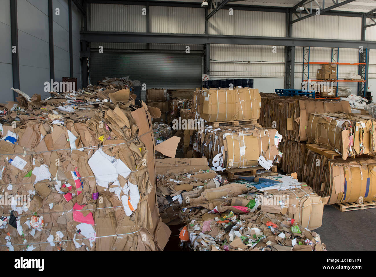 Recycling cardboard waste hi-res stock photography and images - Alamy