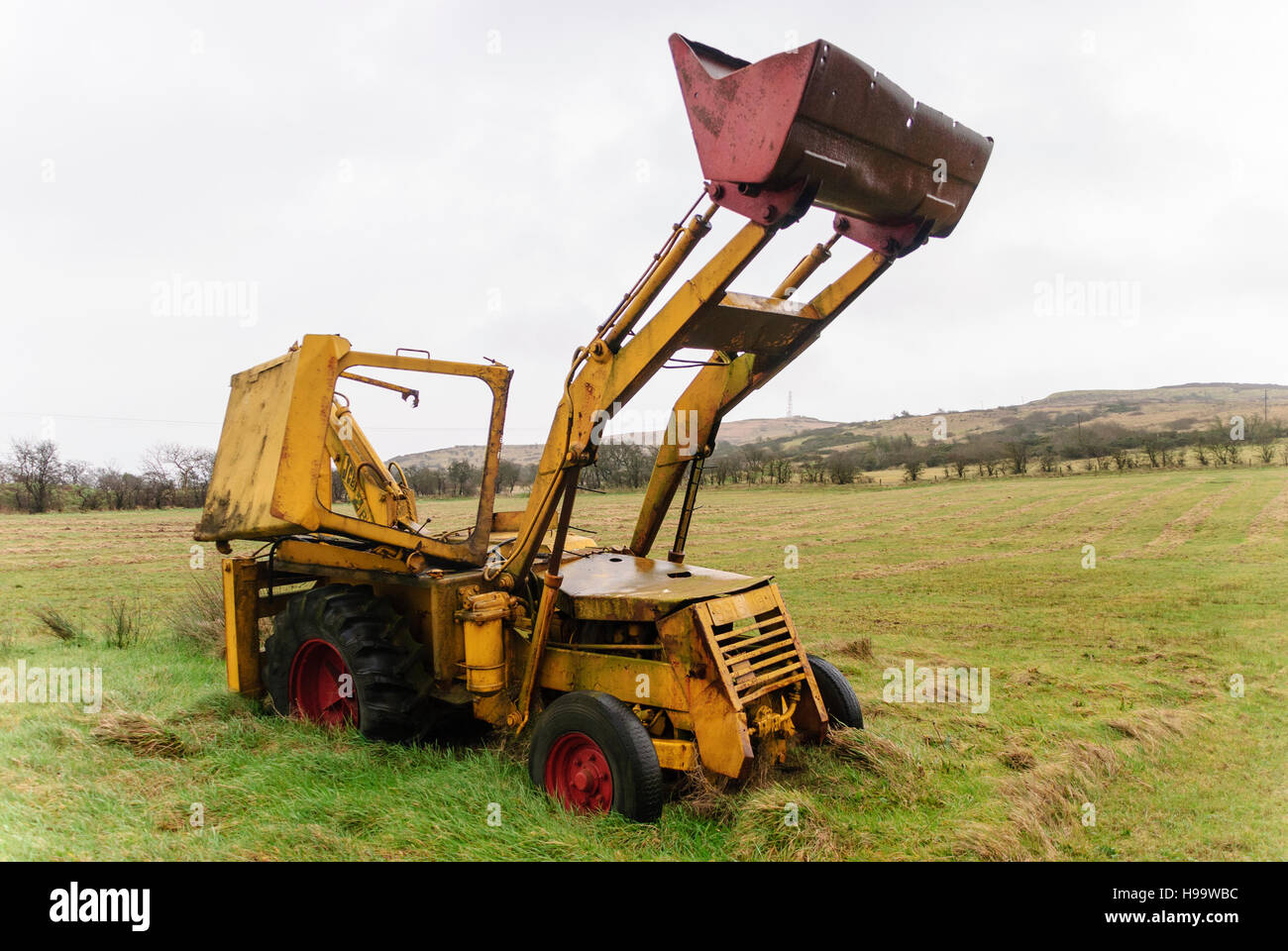 A yellow JCB digger rusts in a rural field. Stock Photo